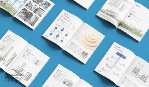 吉林硅宝科技公司企业宣传册设计案例解析——北邦设计的技术推广服务实践